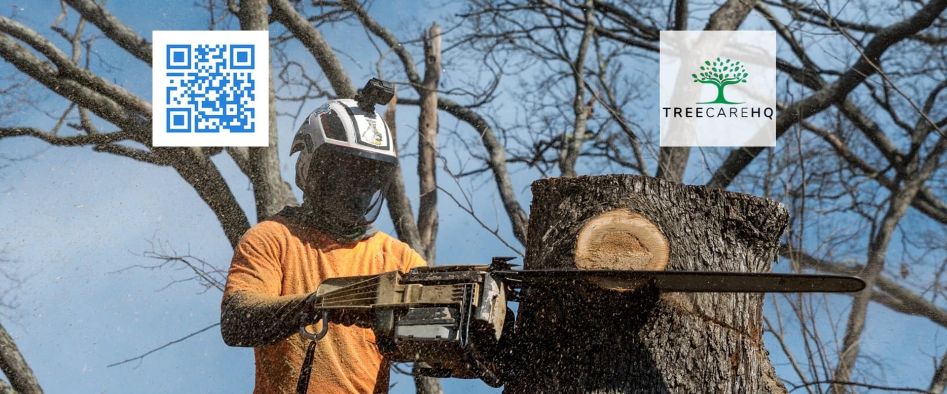 The Secret To A Higher Home Appraisal: Tree Pruning Services In Martinsburg, WV