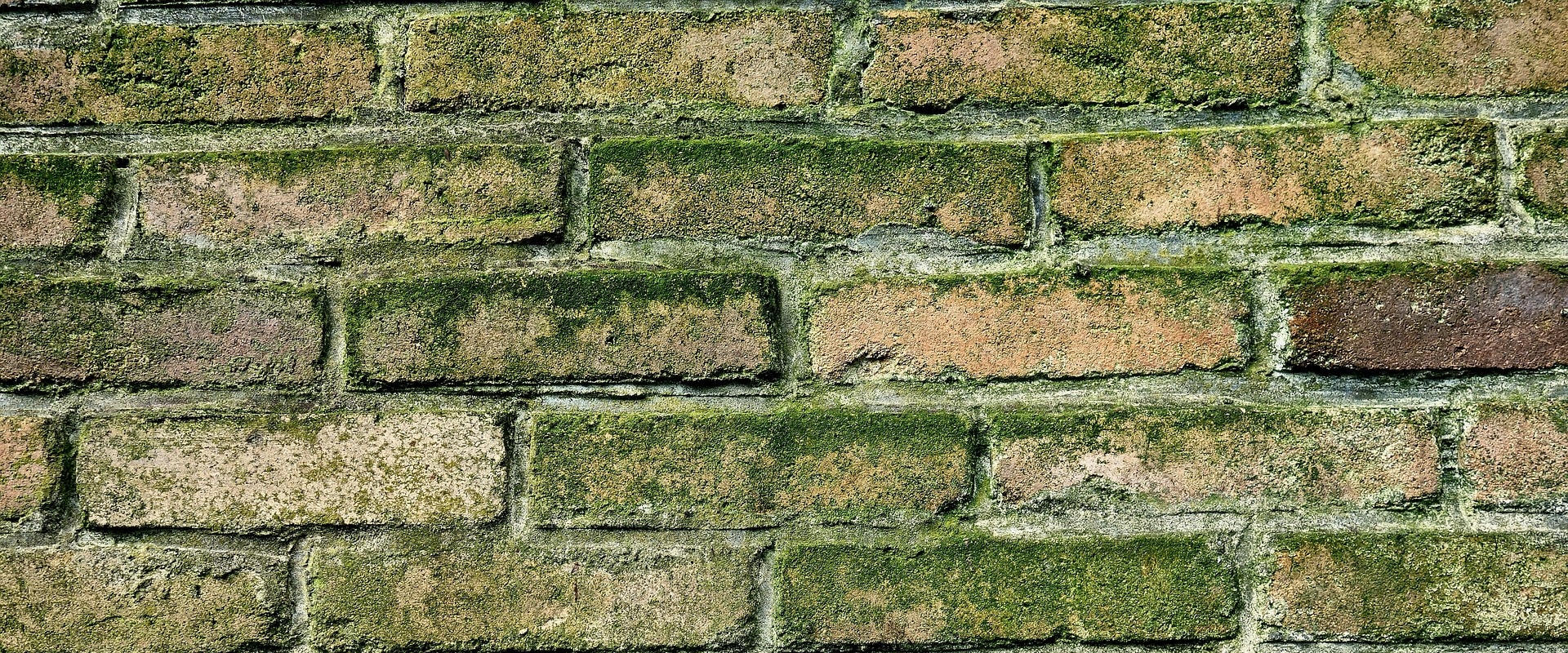 How Water Damage Restoration Companies in Caseyville, IL Help Protect Home Appraisal Value