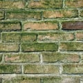 How Water Damage Restoration Companies in Caseyville, IL Help Protect Home Appraisal Value