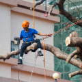 Boosting Property Value In Damascus: How Tree Pruning Can Influence Your Home Appraisal