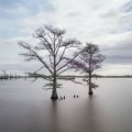 From Flood To Fair Market Value: How Water Cleanup Protects Your Appraisal In Mt. Pleasant