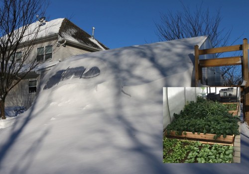 From Dust To Dollars: How Expert Residential Housekeeping In Winter Garden Impacts Home Appraisal Value