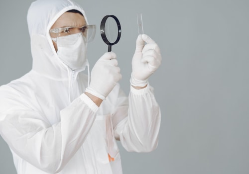 Asbestos Testing Prior To Home Appraisal In Charleston, SC: How A Skilled Home Inspector Can Assist?