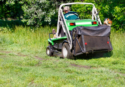 Enhance Home Value with Expert Lawn Care in Damascus