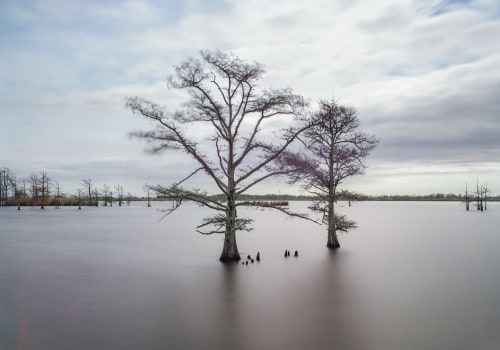From Flood To Fair Market Value: How Water Cleanup Protects Your Appraisal In Mt. Pleasant