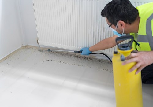 Pest Control In Mount Pleasant: A Smart Step Toward A Better Home Appraisal